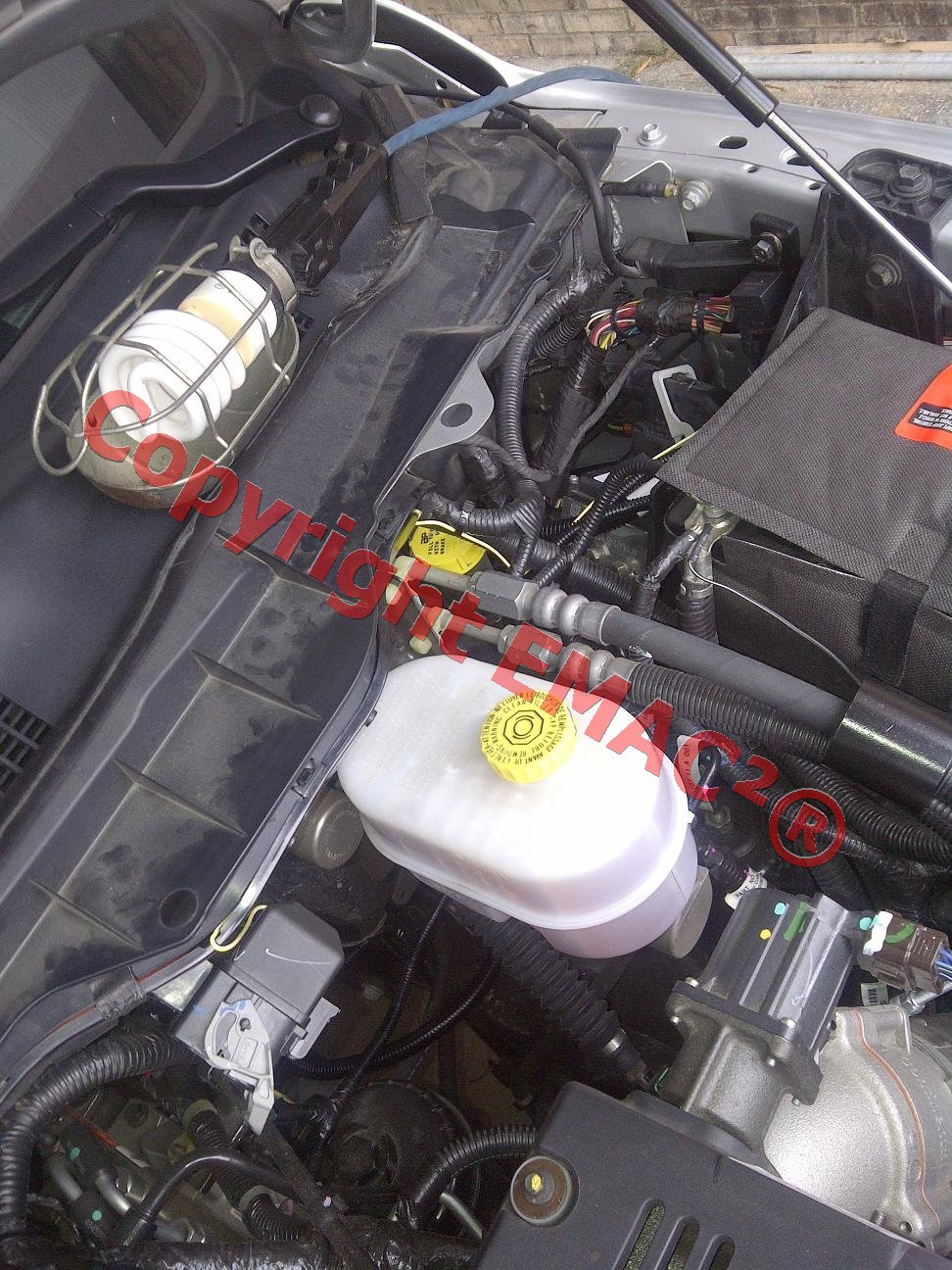 Relay Wire to Fuel Relay