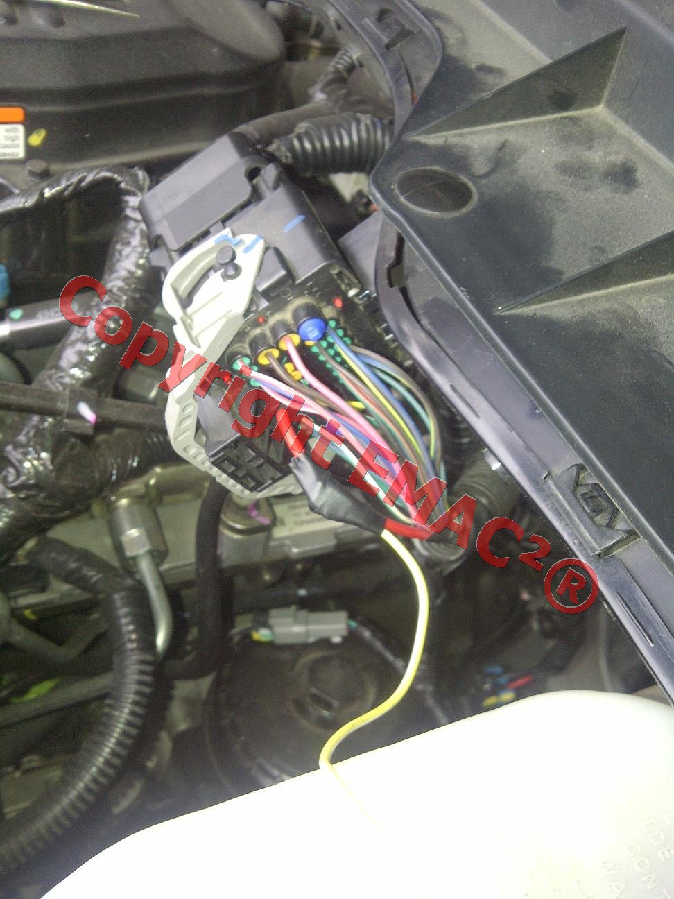 Relay Wire to Fuel Relay